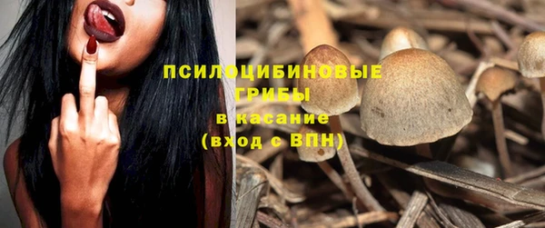 кокаин Богородицк